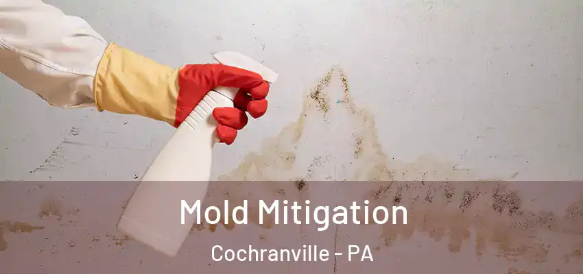Mold Mitigation Cochranville - PA