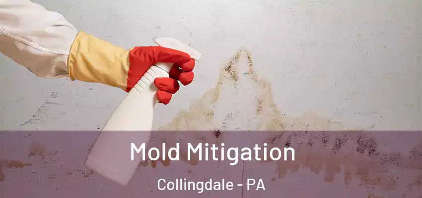 Mold Mitigation Collingdale - PA