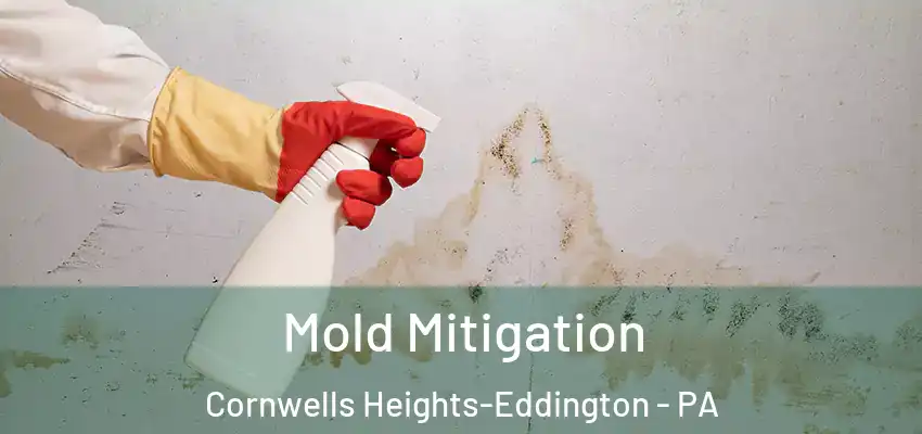 Mold Mitigation Cornwells Heights-Eddington - PA