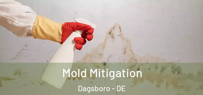 Mold Mitigation Dagsboro - DE