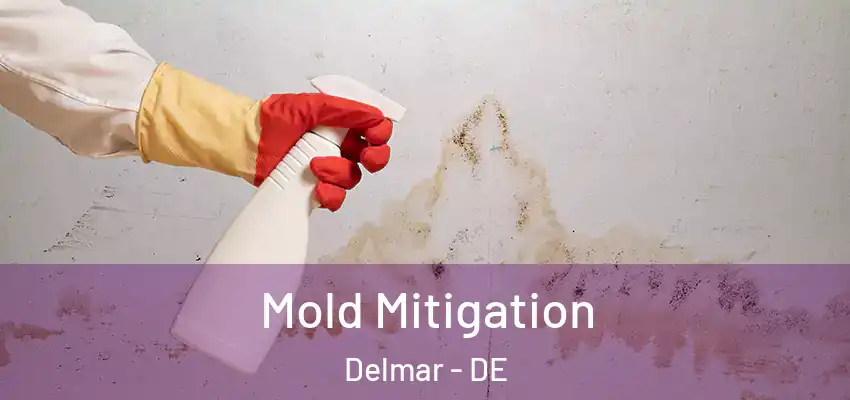 Mold Mitigation Delmar - DE
