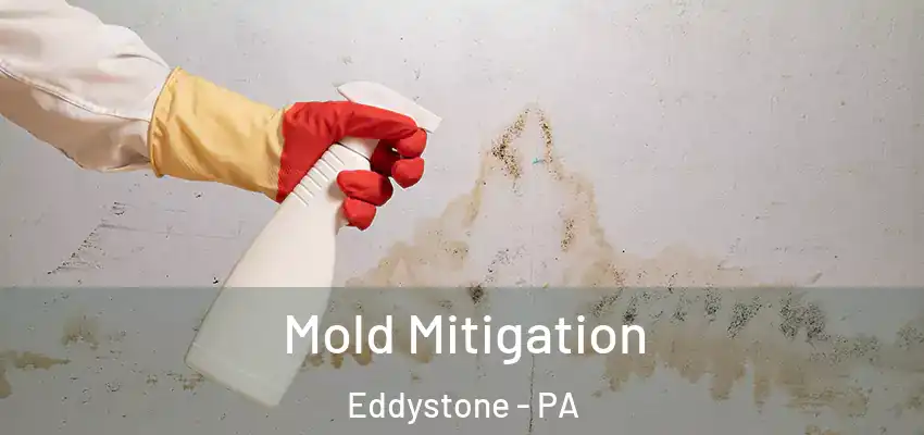 Mold Mitigation Eddystone - PA