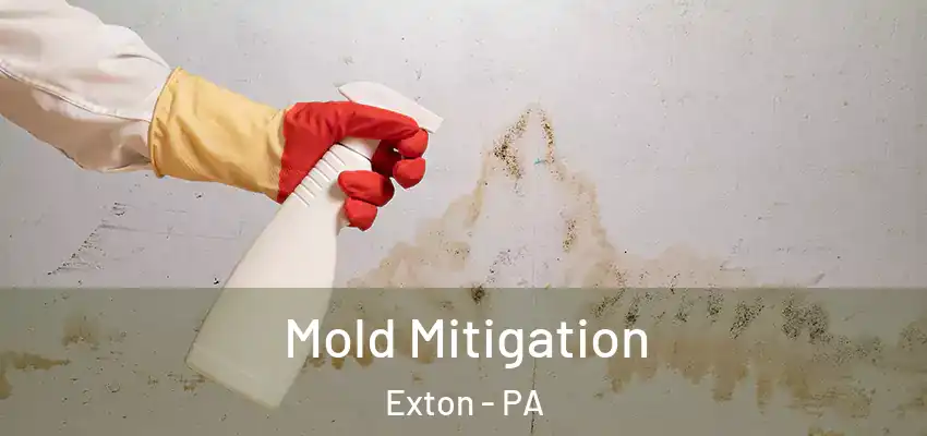 Mold Mitigation Exton - PA