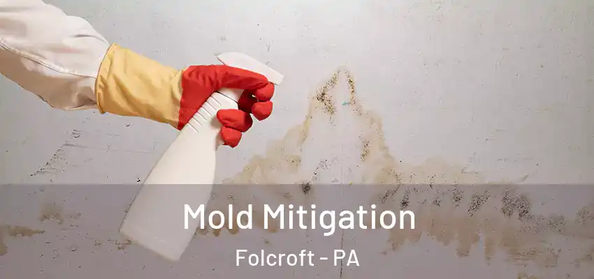 Mold Mitigation Folcroft - PA