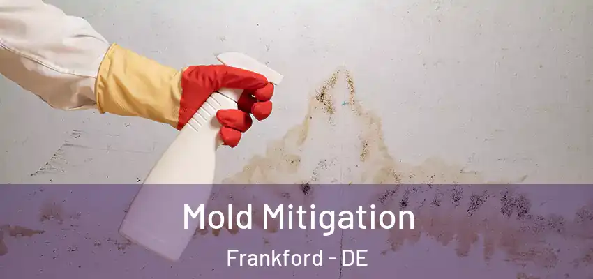 Mold Mitigation Frankford - DE
