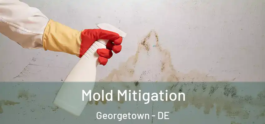 Mold Mitigation Georgetown - DE