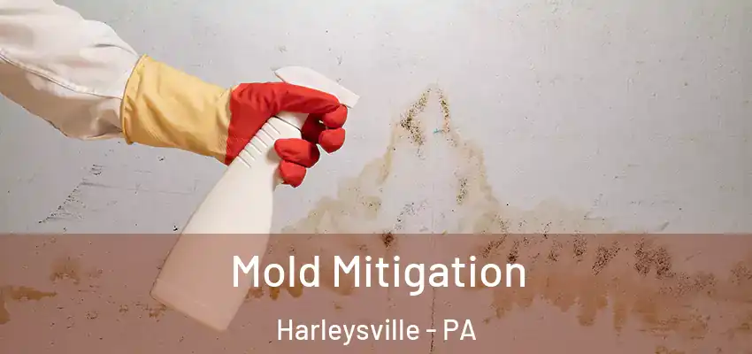 Mold Mitigation Harleysville - PA