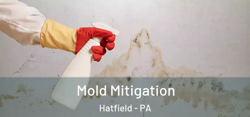  Mold Mitigation Hatfield - PA