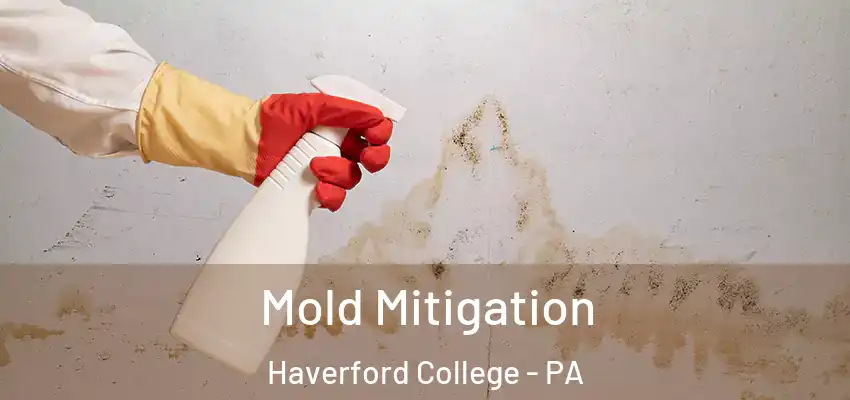 Mold Mitigation Haverford College - PA
