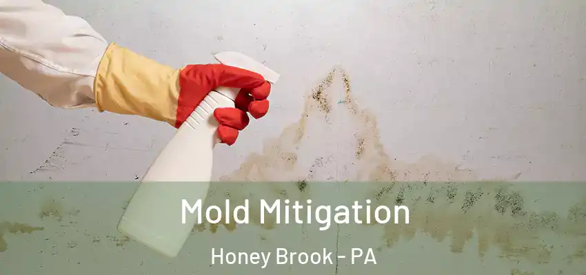  Mold Mitigation Honey Brook - PA