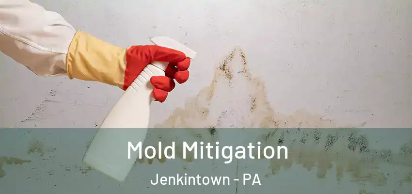  Mold Mitigation Jenkintown - PA