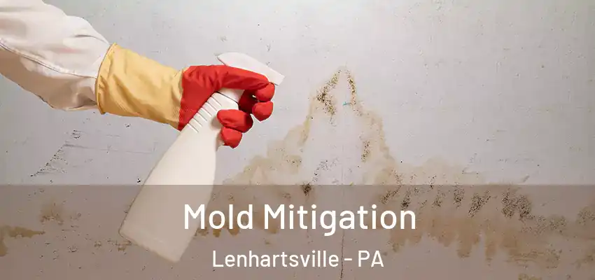  Mold Mitigation Lenhartsville - PA