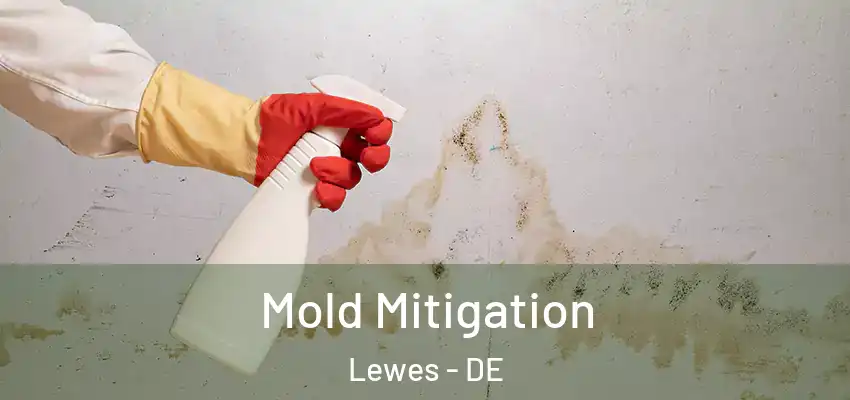 Mold Mitigation Lewes - DE