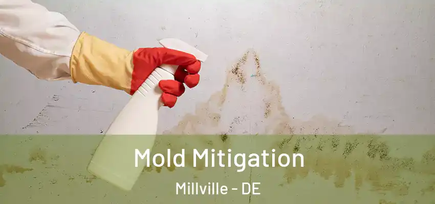 Mold Mitigation Millville - DE