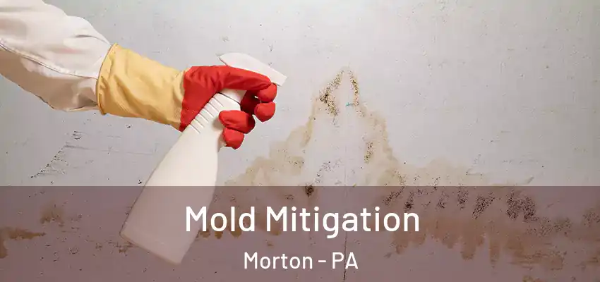 Mold Mitigation Morton - PA