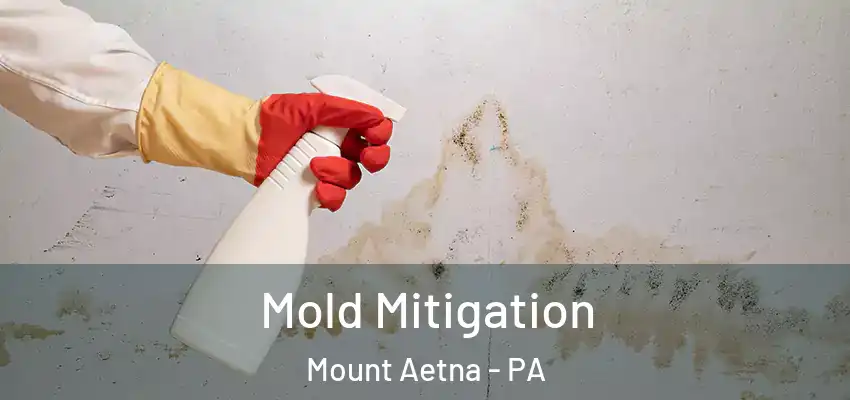 Mold Mitigation Mount Aetna - PA