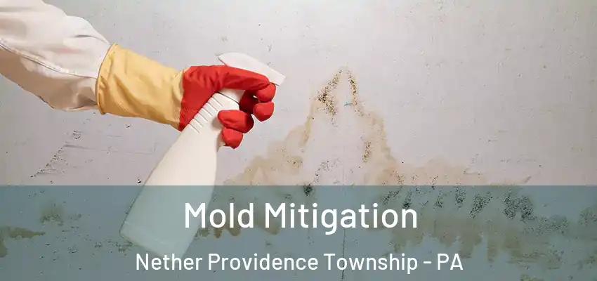 Mold Mitigation Nether Providence Township - PA