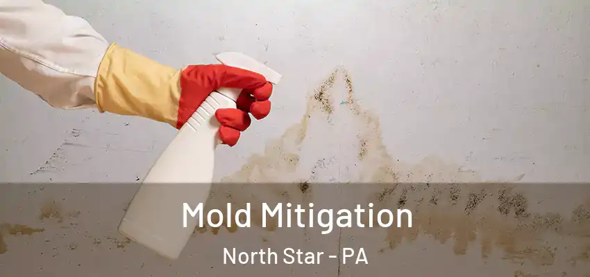 Mold Mitigation North Star - PA