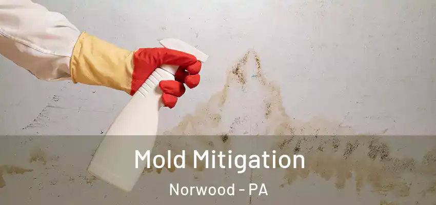  Mold Mitigation Norwood - PA