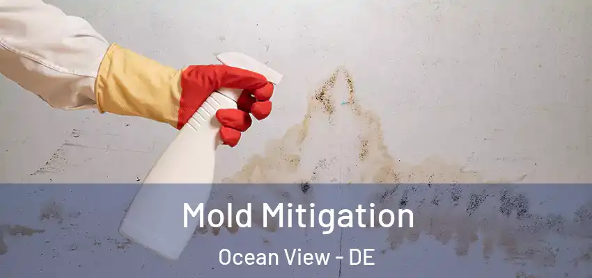 Mold Mitigation Ocean View - DE