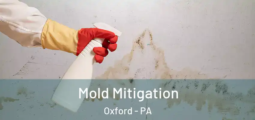 Mold Mitigation Oxford - PA