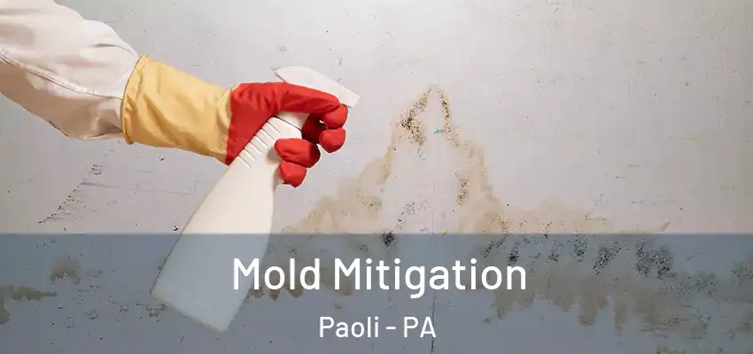 Mold Mitigation Paoli - PA