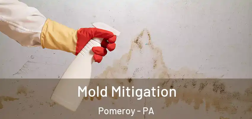 Mold Mitigation Pomeroy - PA