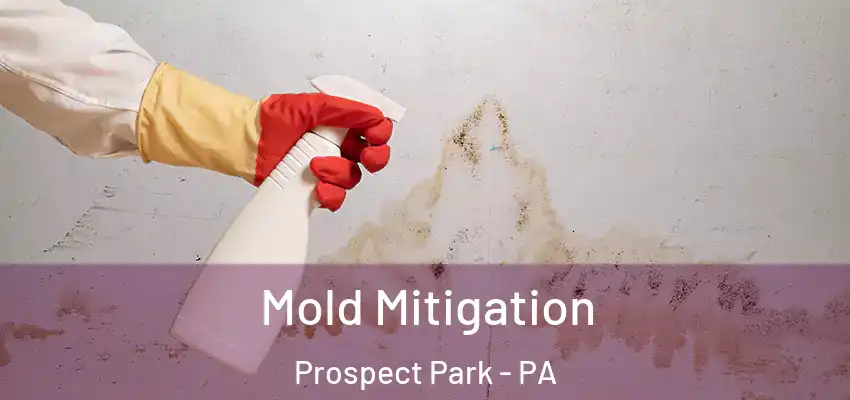 Mold Mitigation Prospect Park - PA