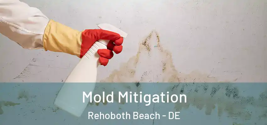 Mold Mitigation Rehoboth Beach - DE