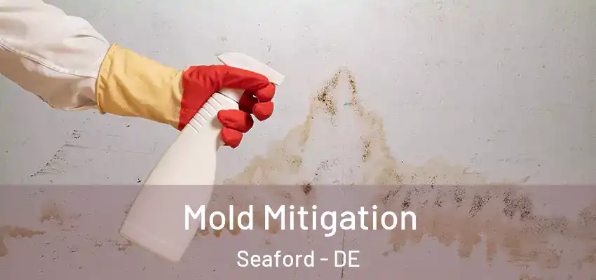 Mold Mitigation Seaford - DE