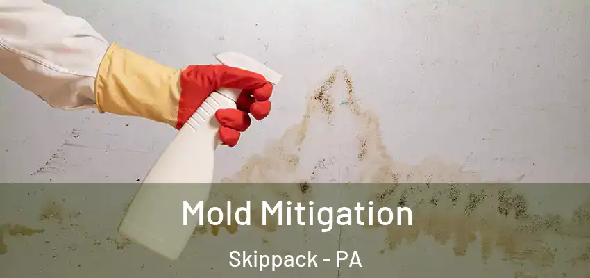 Mold Mitigation Skippack - PA