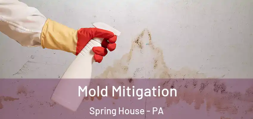 Mold Mitigation Spring House - PA