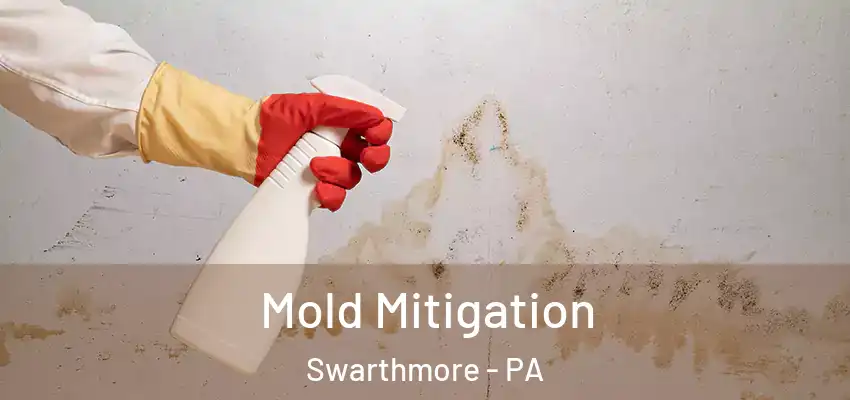 Mold Mitigation Swarthmore - PA