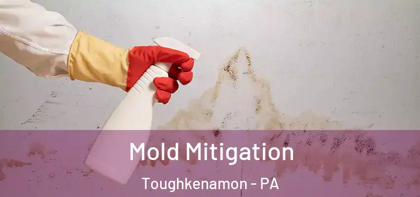 Mold Mitigation Toughkenamon - PA