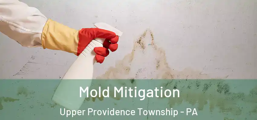 Mold Mitigation Upper Providence Township - PA