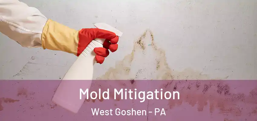  Mold Mitigation West Goshen - PA