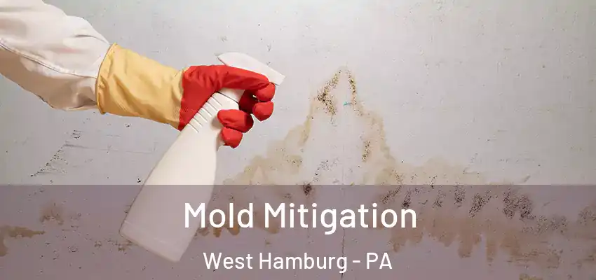  Mold Mitigation West Hamburg - PA