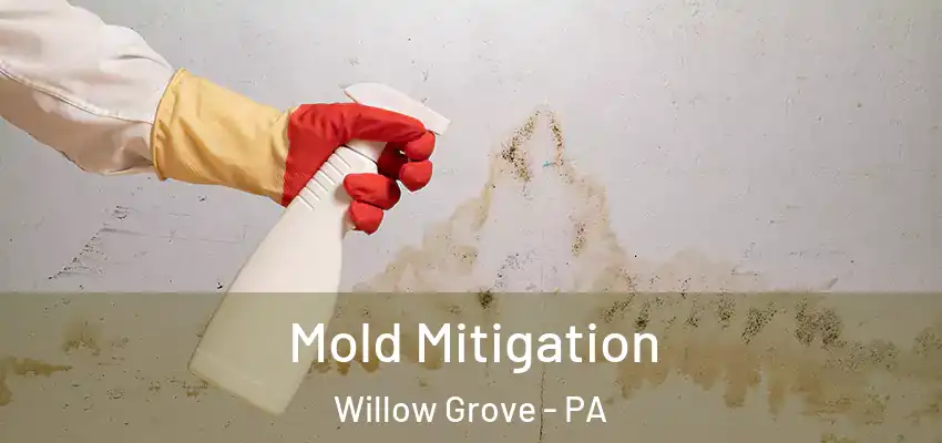 Mold Mitigation Willow Grove - PA