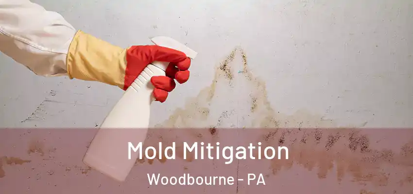  Mold Mitigation Woodbourne - PA