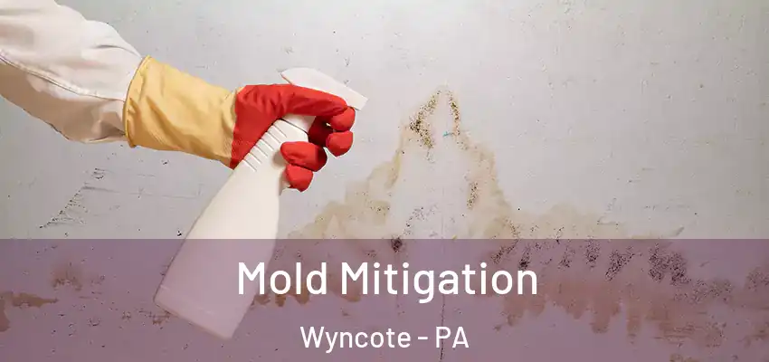  Mold Mitigation Wyncote - PA