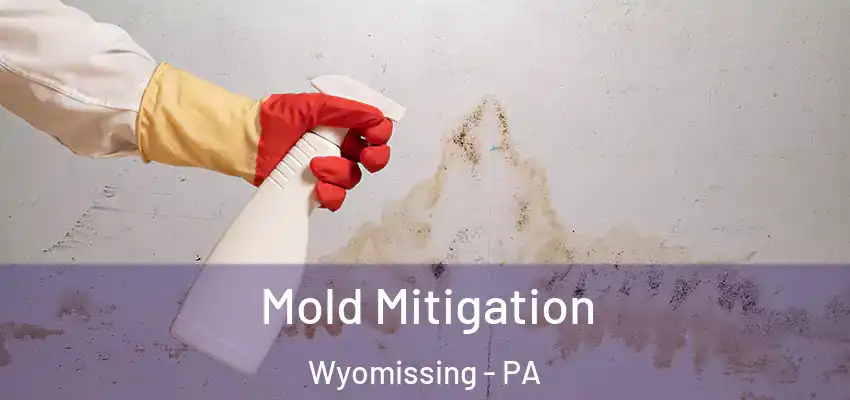 Mold Mitigation Wyomissing - PA