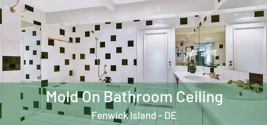 Mold On Bathroom Ceiling Fenwick Island - DE