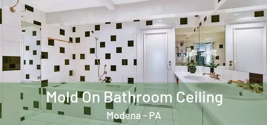  Mold On Bathroom Ceiling Modena - PA