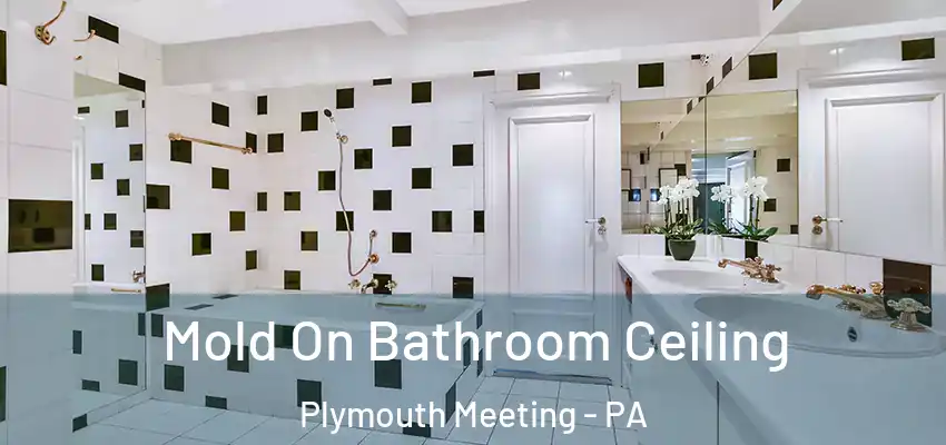 Mold On Bathroom Ceiling Plymouth Meeting - PA