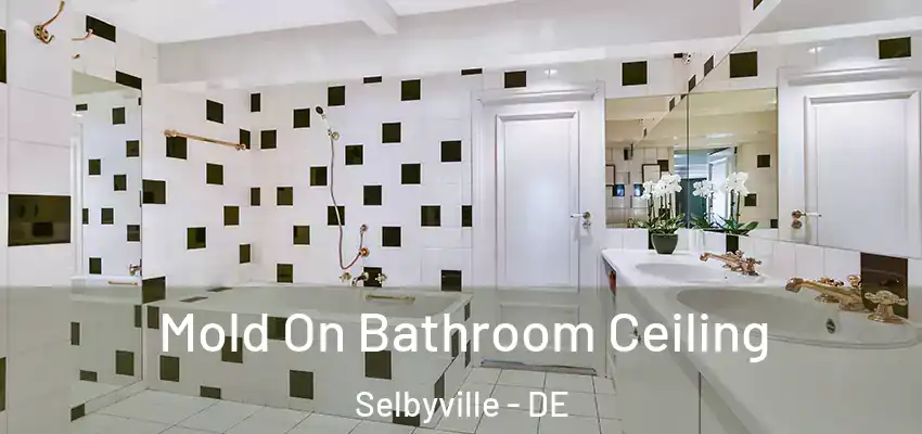  Mold On Bathroom Ceiling Selbyville - DE