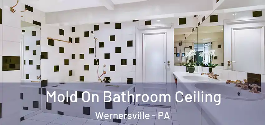 Mold On Bathroom Ceiling Wernersville - PA