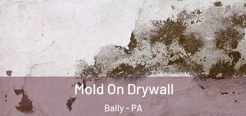  Mold On Drywall Bally - PA