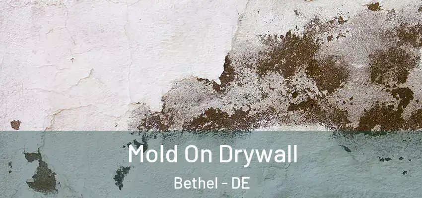  Mold On Drywall Bethel - DE
