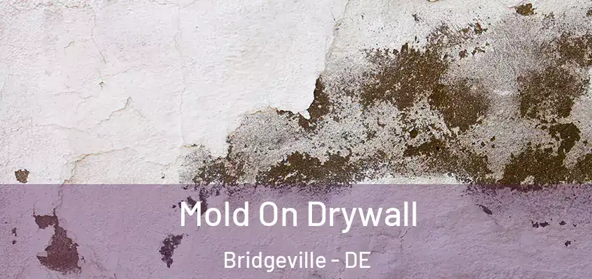  Mold On Drywall Bridgeville - DE