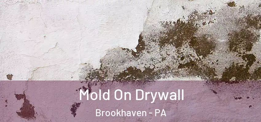  Mold On Drywall Brookhaven - PA